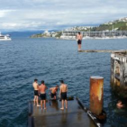 Wellington , des jeunes kiwis en train de plonger
